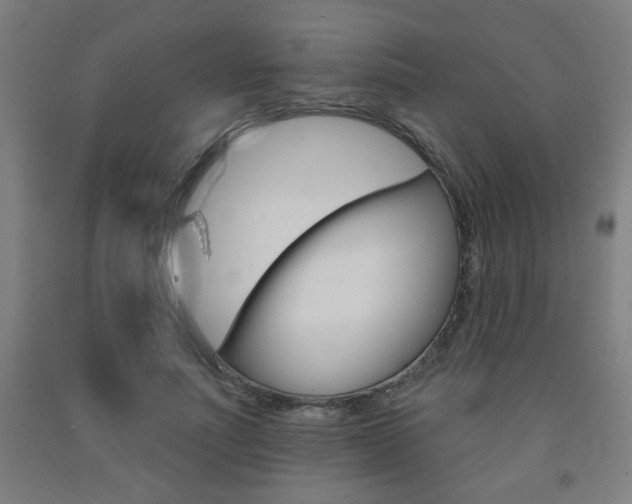 X0000093130691200709261036