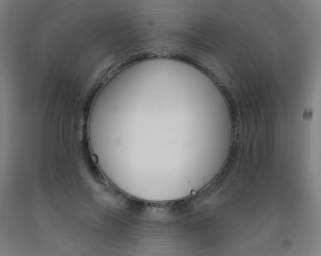 X0000093130694200709261036