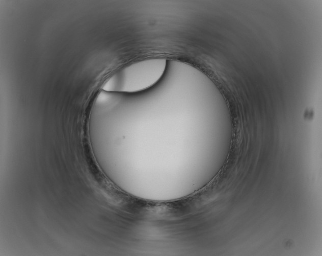 X0000093130695200709261036