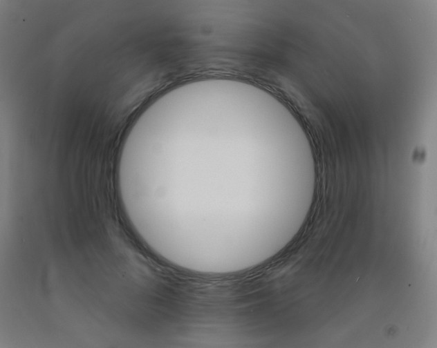 X0000093130696200709261036