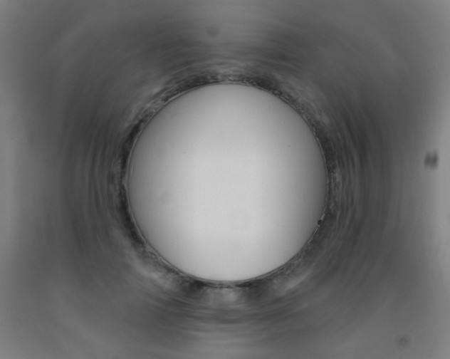 X0000093130698200709261036