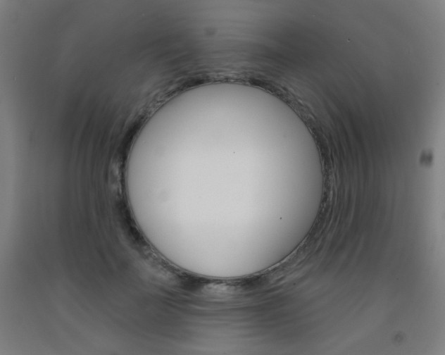 X0000093130699200709261036