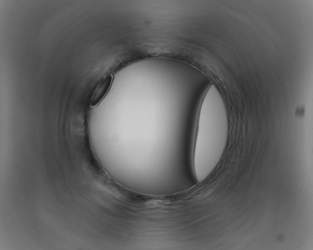 X0000093130700200709261035