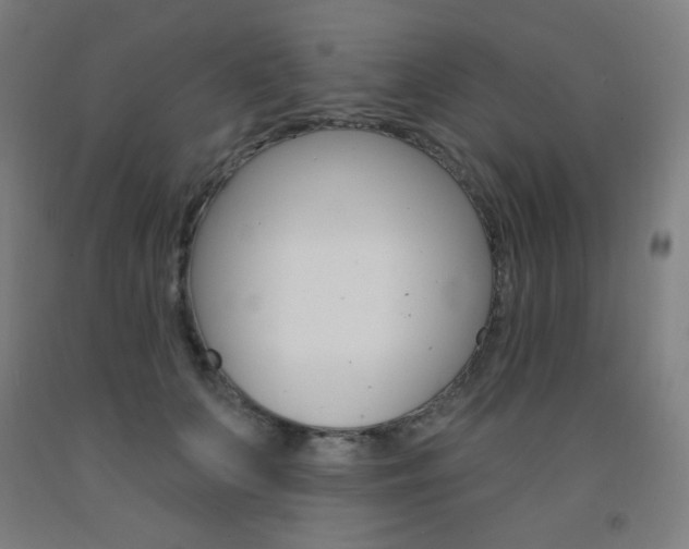 X0000093130703200709261035