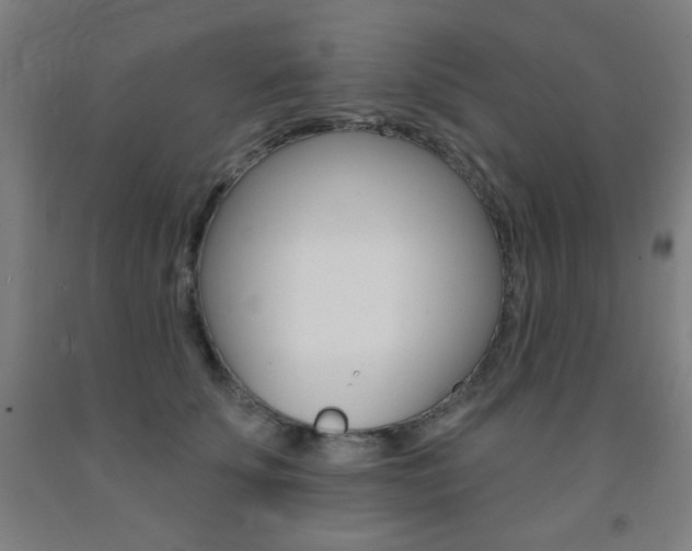 X0000093130707200709261035