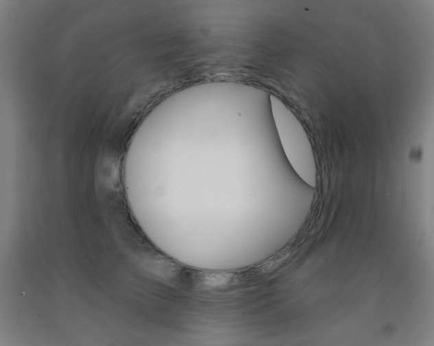 X0000093130709200709261035