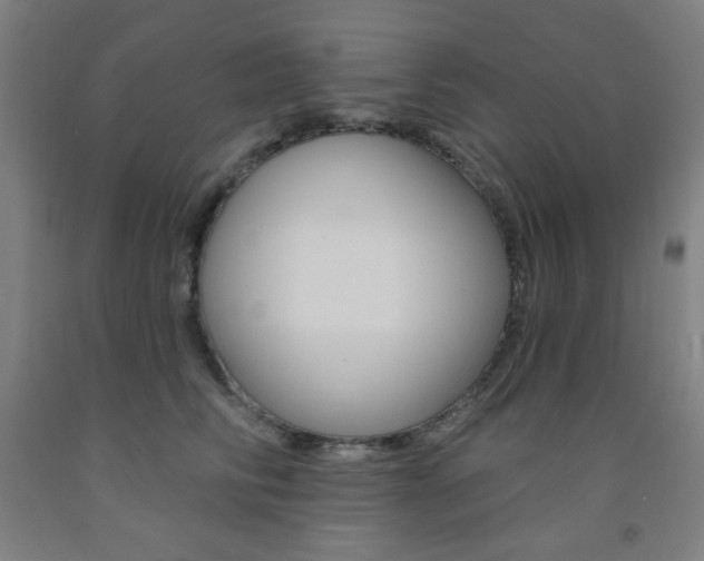 X0000093130710200709261035