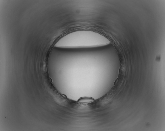 X0000093130715200709261035