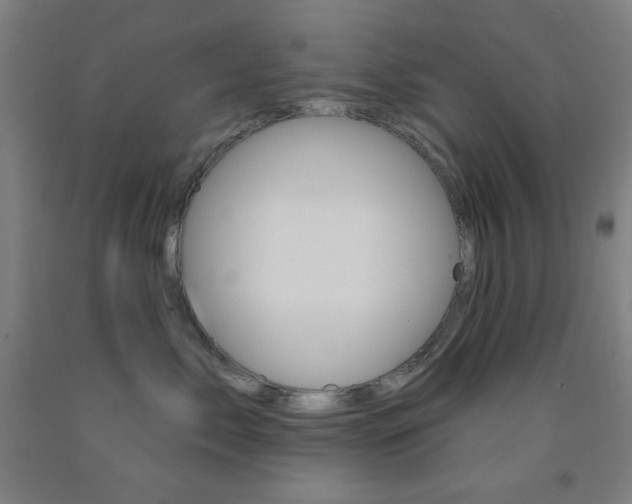 X0000093130717200709261035