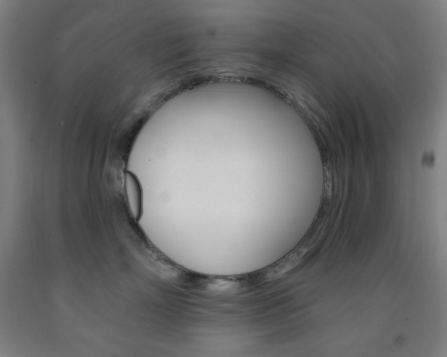 X0000093130718200709261035