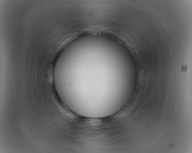 X0000093130719200709261035