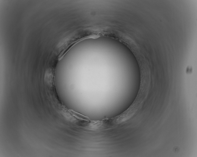 X0000093130720200709261035