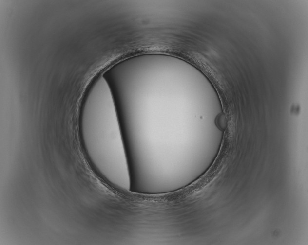 X0000093130721200709261034