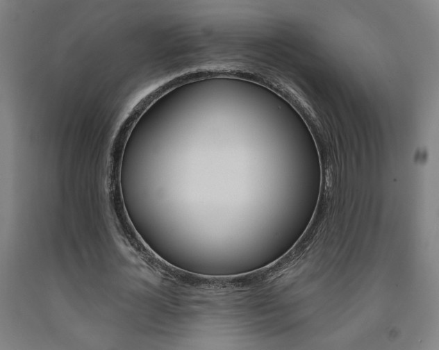 X0000093130724200709261035