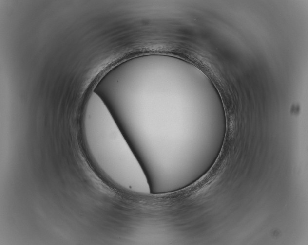 X0000093130725200709261035