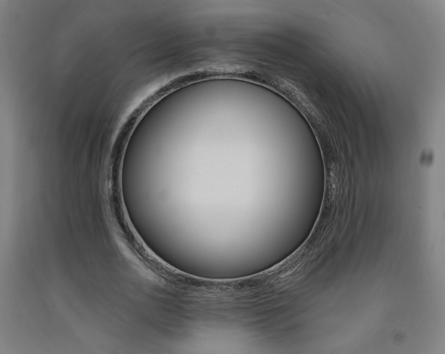X0000093130726200709261035