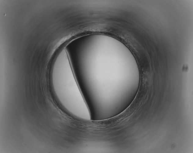 X0000093130727200709261035