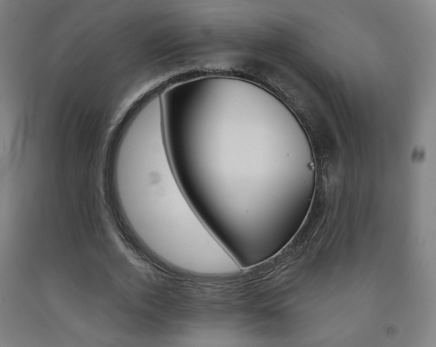 X0000093130728200709261035