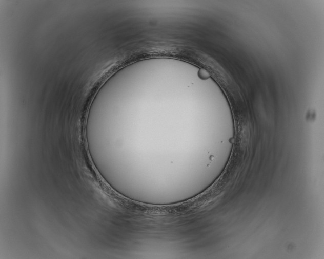 X0000093130729200709261035