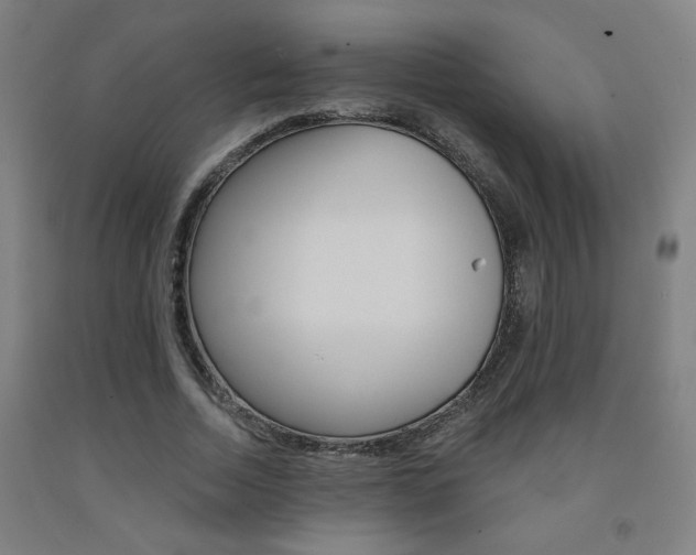 X0000093130730200709261035