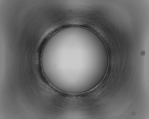 X0000093130731200709261035