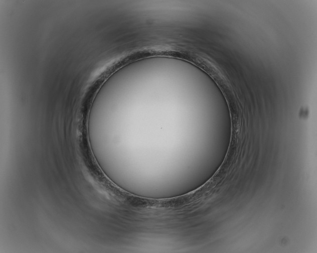 X0000093130732200709261035
