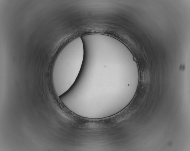 X0000093130733200709261035