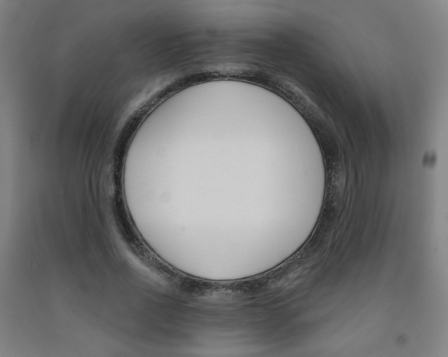 X0000093130734200709261035
