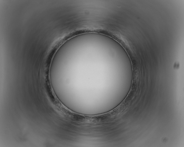 X0000093130736200709261035