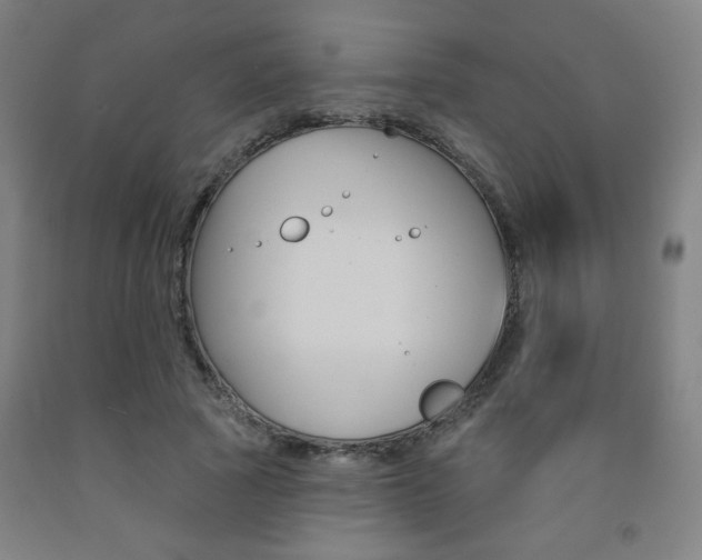 X0000093130737200709261035