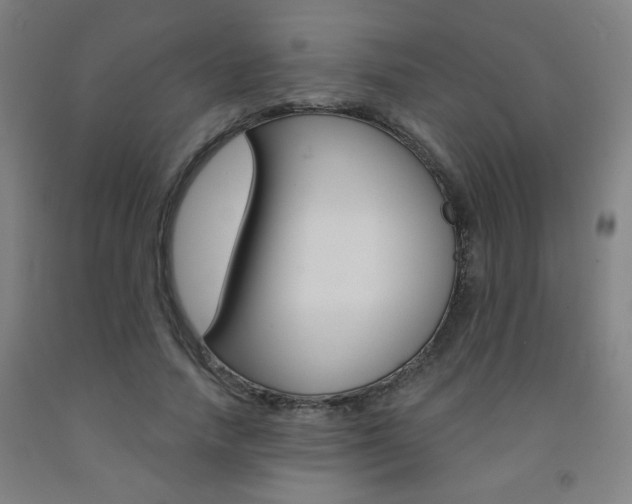 X0000093130738200709261035