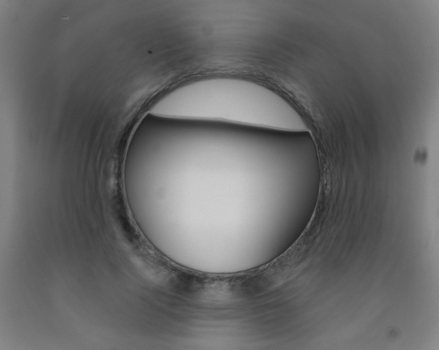X0000093130740200709261035