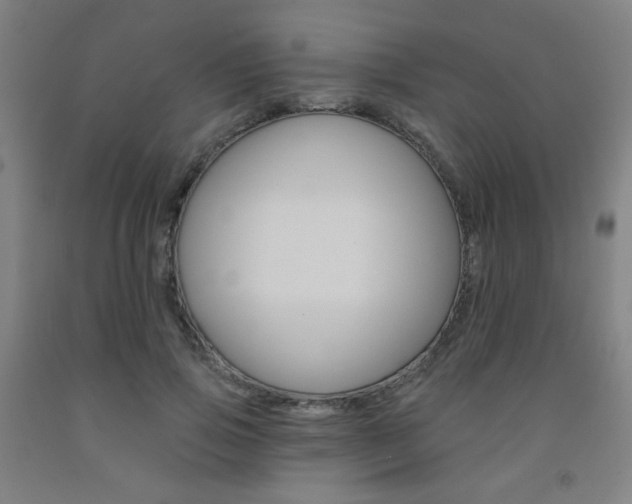 X0000093130741200709261035
