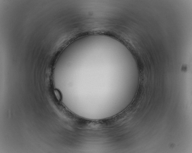 X0000093130742200709261035