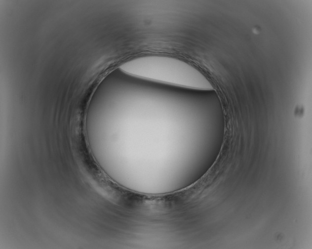 X0000093130744200709261035