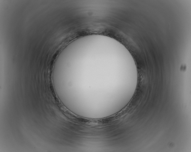 X0000093130745200709261035