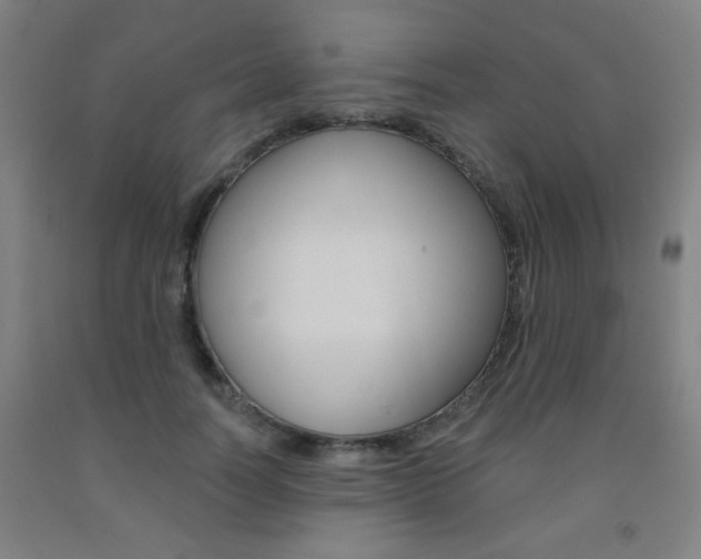 X0000093130746200709261035