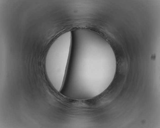 X0000093130747200709261035