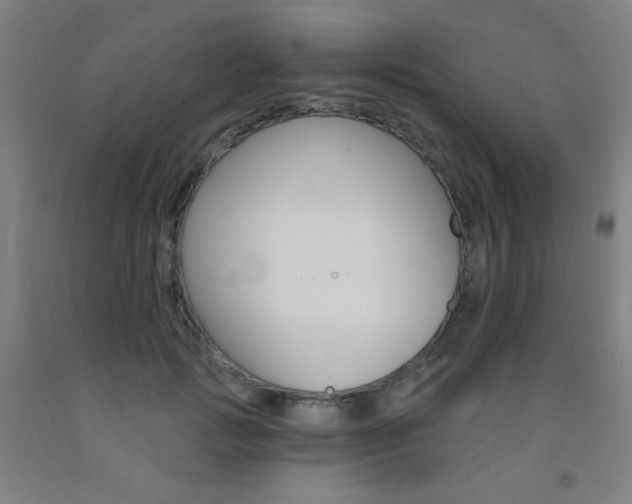 X0000093130749200709261035