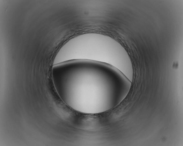 X0000093130750200709261035