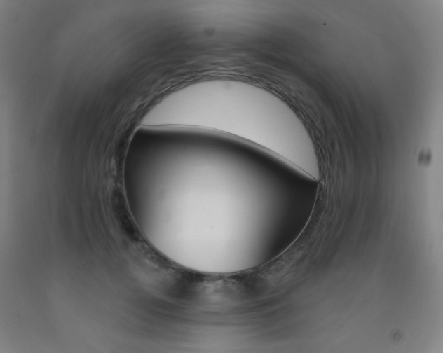 X0000093130752200709261035
