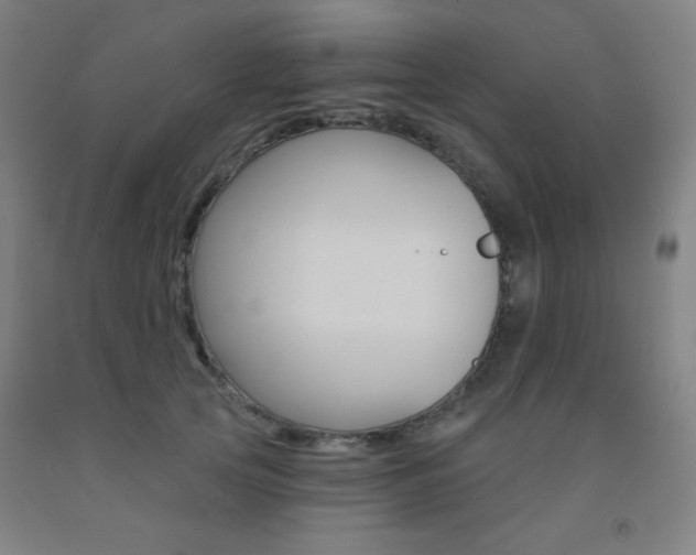 X0000093130753200709261035