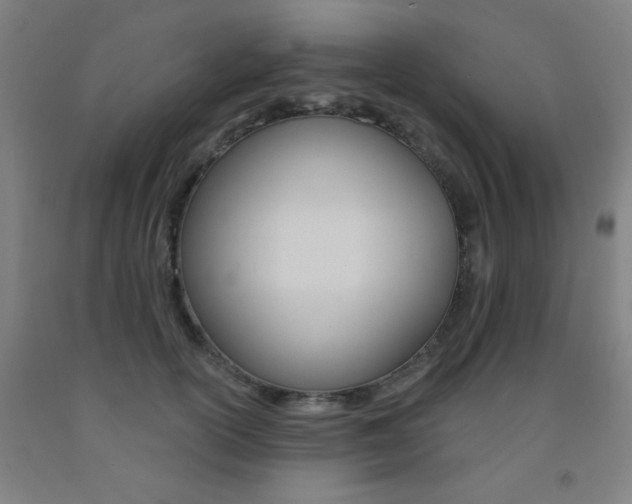 X0000093130754200709261035