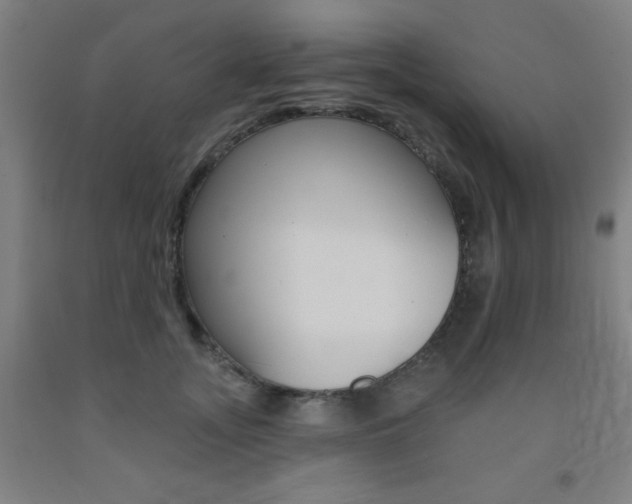X0000093130755200709261035