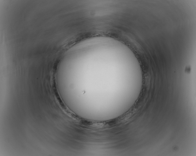 X0000093130757200709261035
