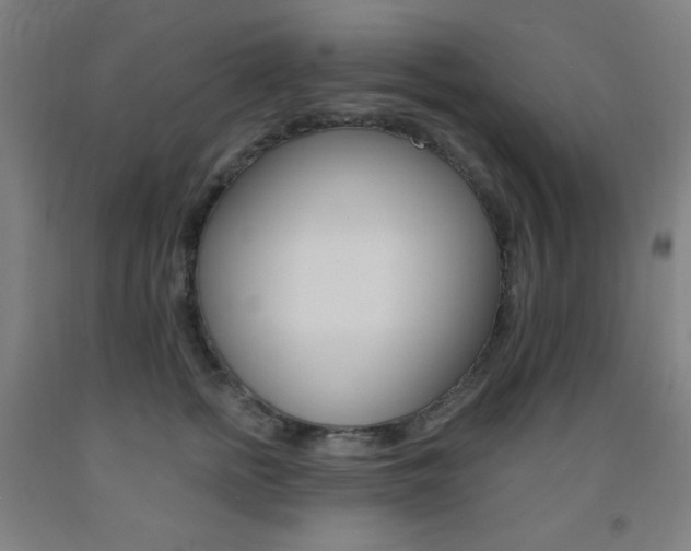 X0000093130758200709261035