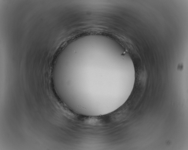 X0000093130759200709261035