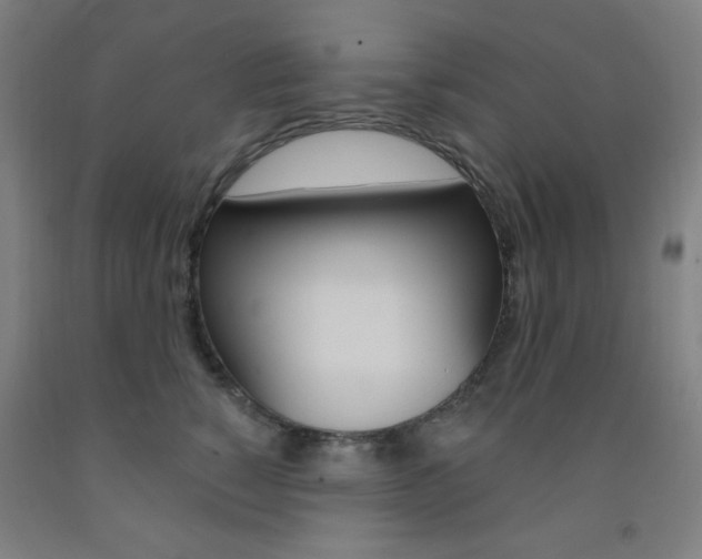 X0000093130760200709261035