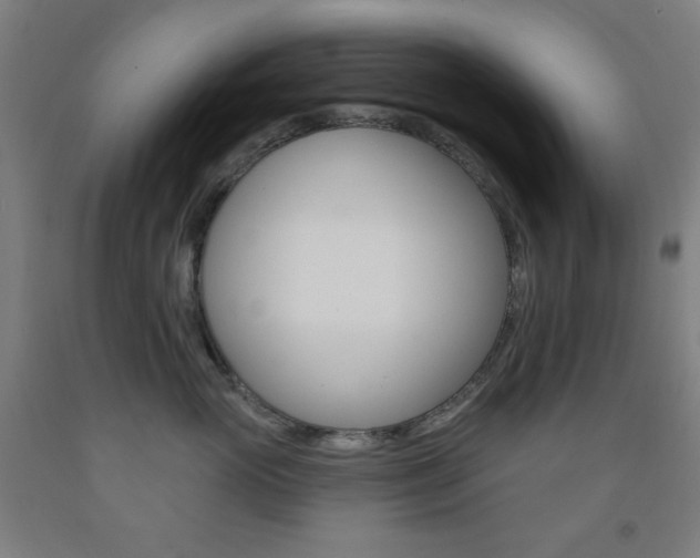 X0000093130765200709261035
