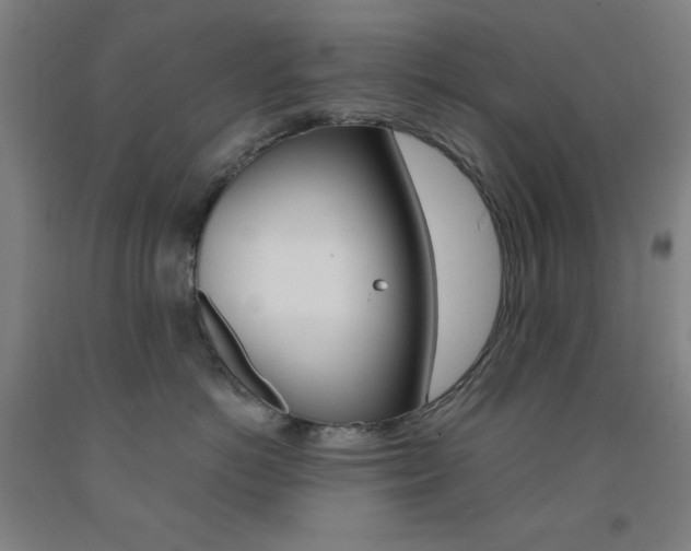 X0000093130766200709261035